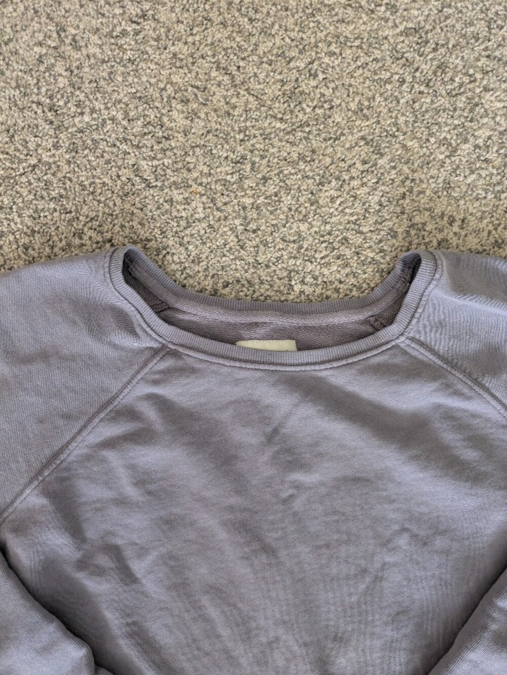 Pact Raglan Relaxed Sweatshirt - Picture 3 of 6